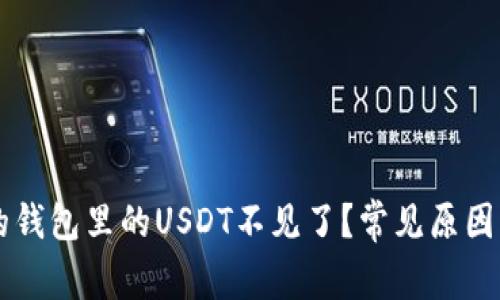 为什么我的钱包里的USDT不见了？常见原因及解决方法