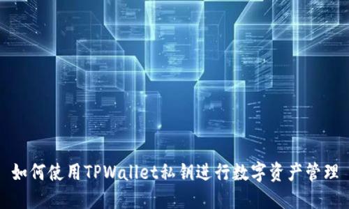 如何使用TPWallet私钥进行数字资产管理