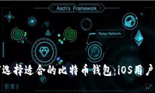 如何选择适合的比特币钱包：iOS用户指南