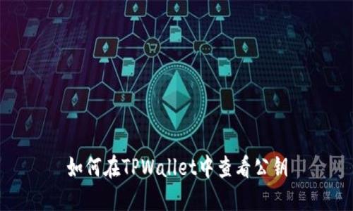如何在TPWallet中查看公钥