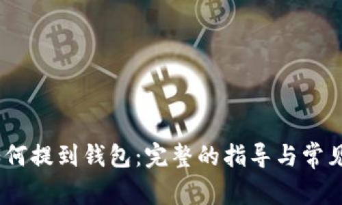 USDT币如何提到钱包：完整的指导与常见问题解析
