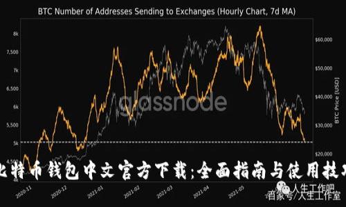 比特币钱包中文官方下载：全面指南与使用技巧