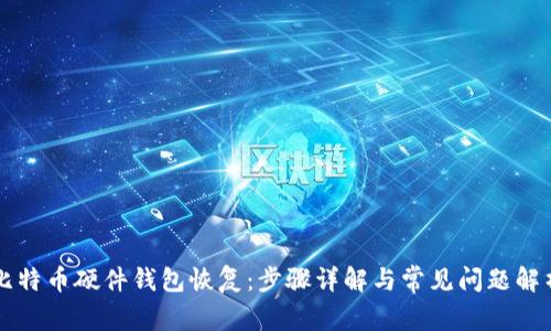 比特币硬件钱包恢复：步骤详解与常见问题解析